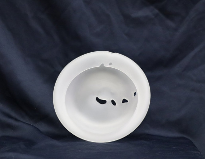 1_gorskiDaibyseBowl_web