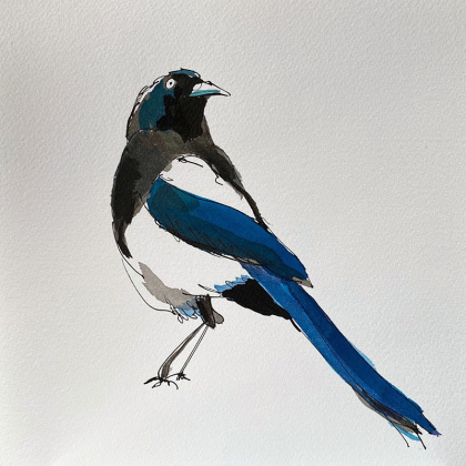 forrestMagpie_web