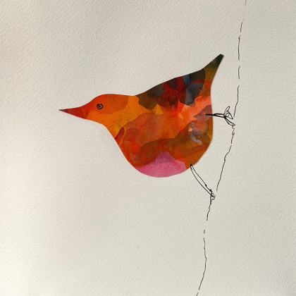 forrestNuthatch_web