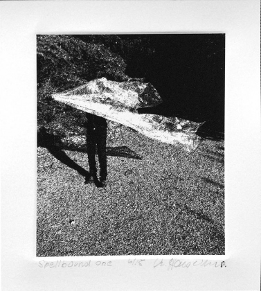 haeseker_Spellbound1