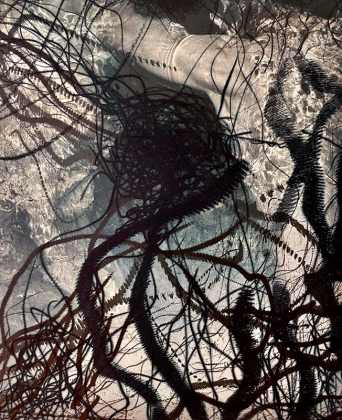 ingramSymbiosis_web