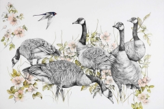 Angry-Geese