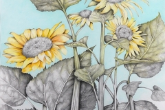 Secrets-of-Flowers